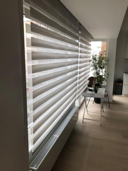 Casita Ostend City & Beach Dış mekan fotoğraf